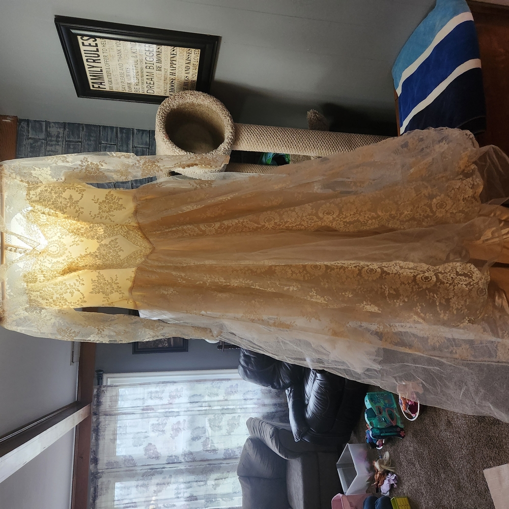 Elegant Lace Gown in Cream